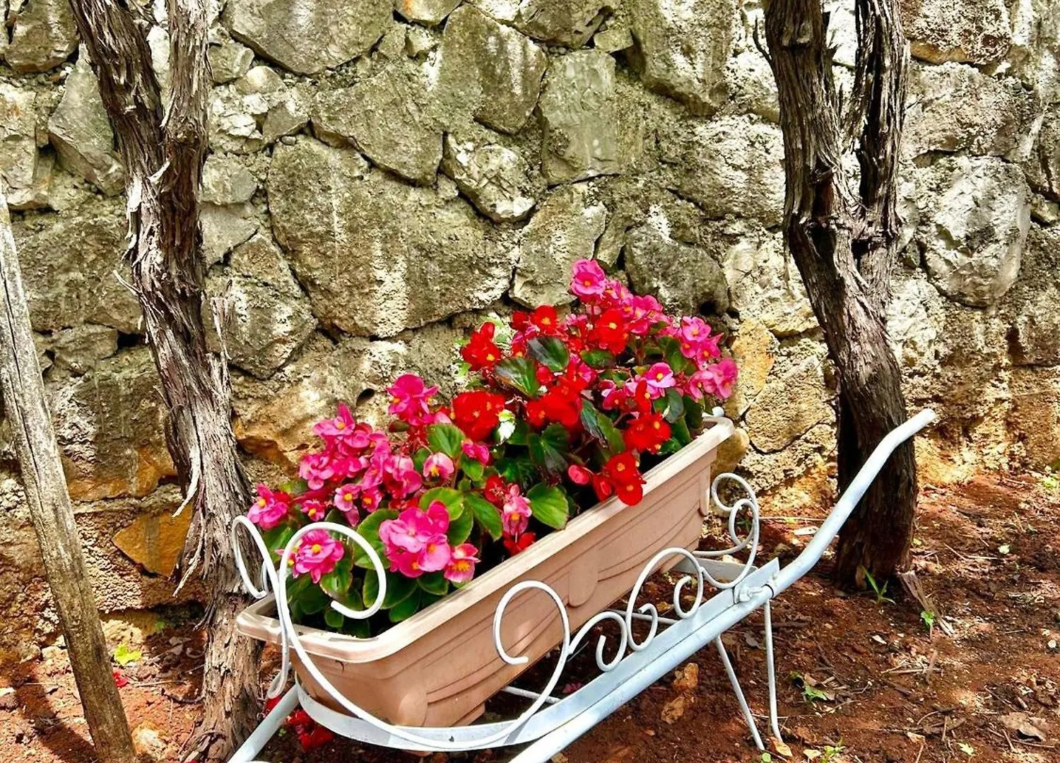Vila La Perla Istriana Višnjan Croacia